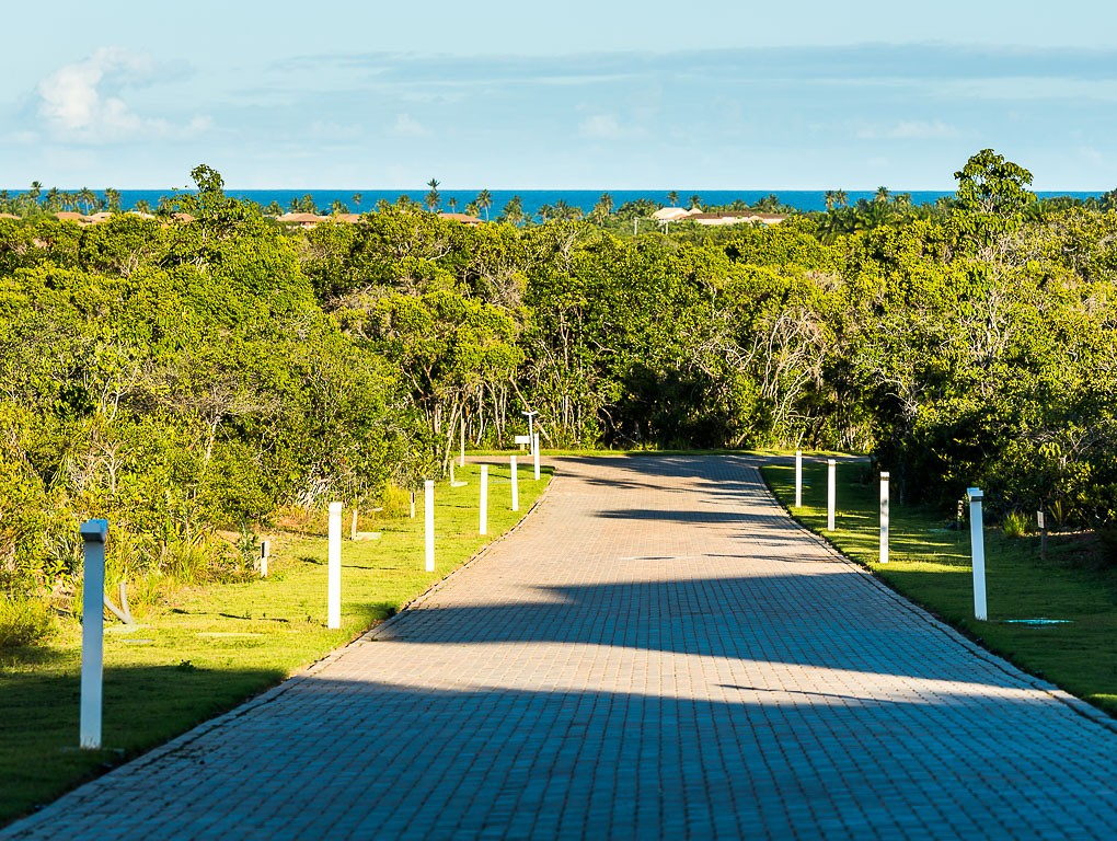 Alameda arborizada do Ilha dos Pássaros, com o mar ao fundo