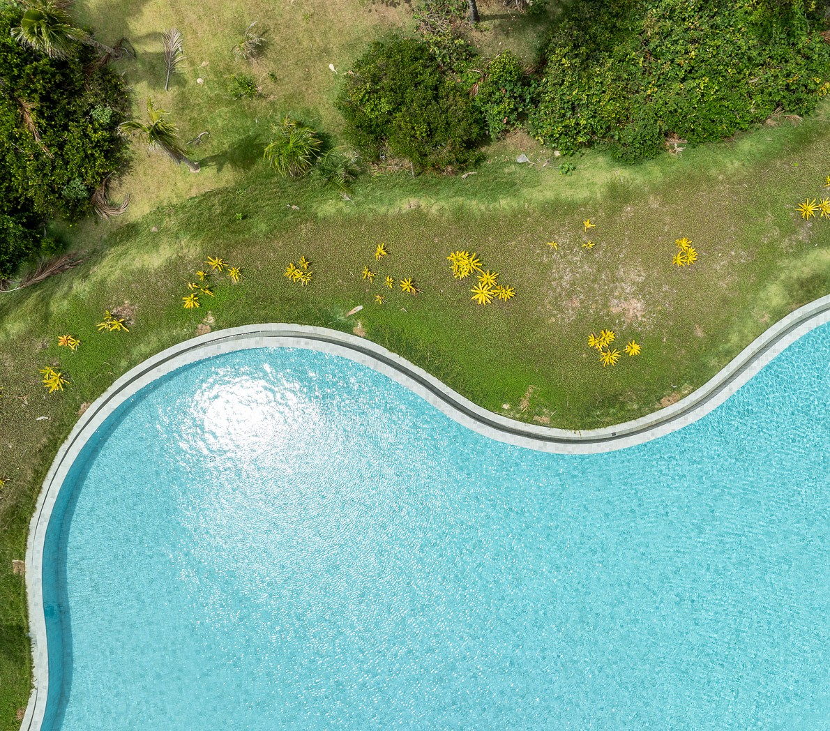Piscina de borda orgânica junto ao gramado