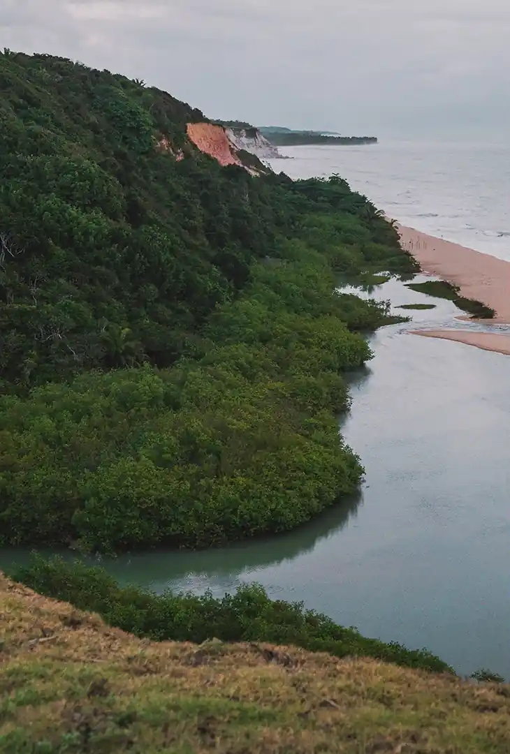 Taípe · o encontro da mata com a praia